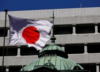 Japan Calls for Release of Detained National in Iran