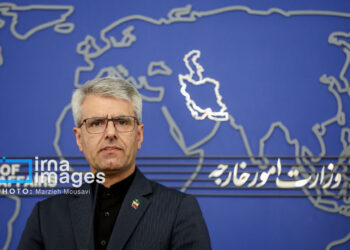 Baqaei: US attacked Iranian nation's pulse of life