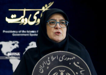 Gov’t spokesperson rejects news on President’s resignation